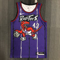 Toronto Raptors Retro #43