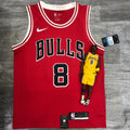 Chicago Bulls #8