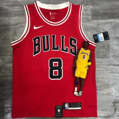 Chicago Bulls #8
