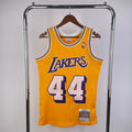 Los Angeles Lakers Retro #44