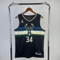 Milwaukee Bucks Jordan Brand #34 Giannis Antetokounmpo (2020-21)