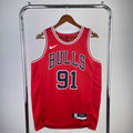 Chicago Bulls #91 Dennis Rodman (2022-23)