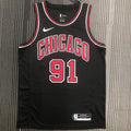 Chicago Bulls #91 Dennis Rodman