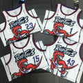 Toronto Raptors Retro #43