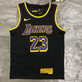 Los Angeles Lakers #23 LeBron James (2020-21)