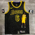 Los Angeles Lakers #6 LeBron James
