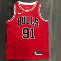 Chicago Bulls #91 Dennis Rodman