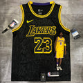 Los Angeles Lakers #23 LeBron James