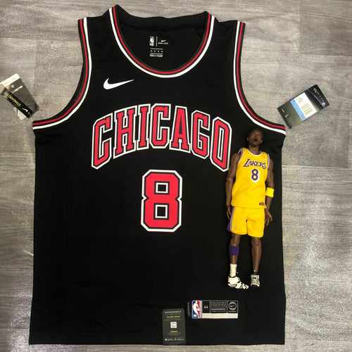 Chicago Bulls #8