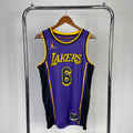 Los Angeles Lakers Jordan Brand #6 LeBron James (2022-23)