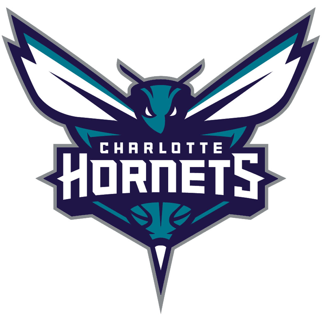 Charlotte Hornets Jersey
