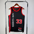 Chicago Bulls City Edition #33 Scottie Pippen (2023-24)
