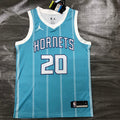 Charlotte Hornets #20