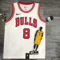 Chicago Bulls #8