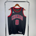Chicago Bulls Jordan Brand #8 (2022-23)